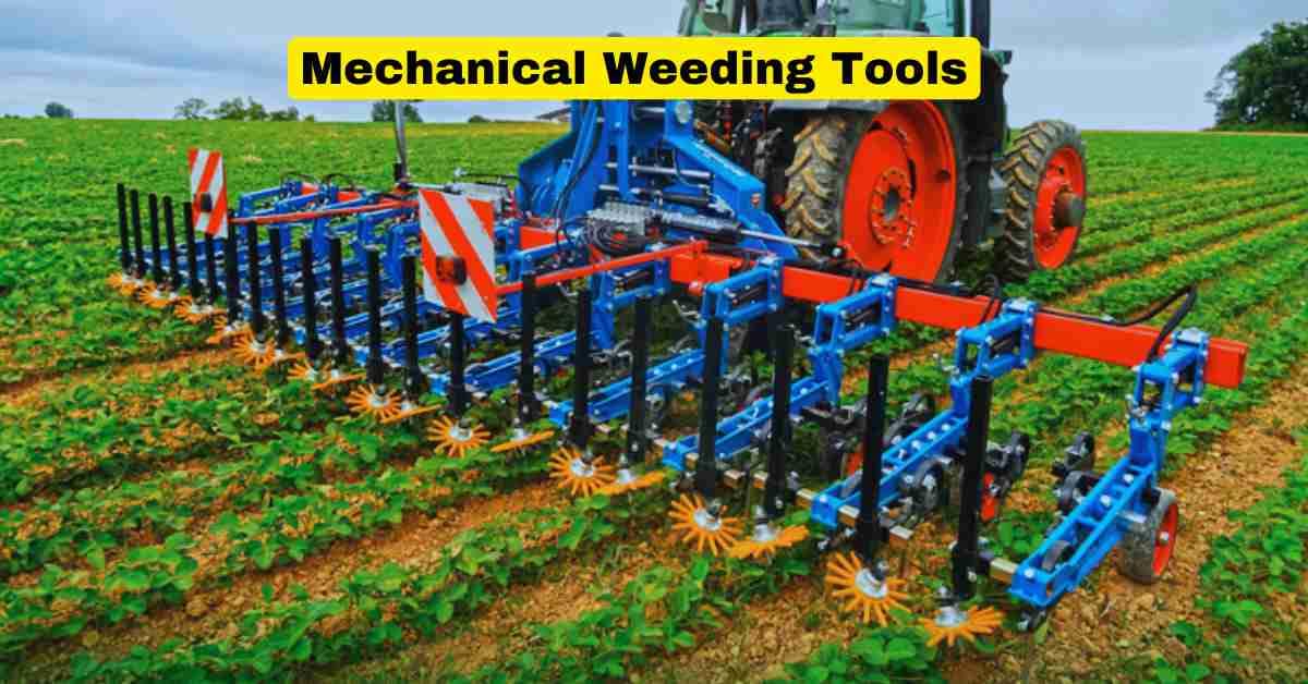 Mechanical Weeding Tools