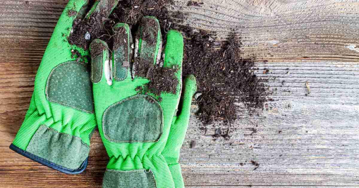 Maintenance Tips of gardening gloves