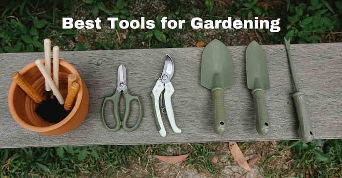 Best Tools for Gardening Best Tools for Gardening